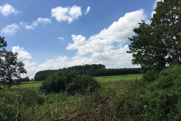 Bouwgrond Riperwei 29 Tijnje