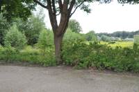 Bouwgrond Nijverheidsstraat Wildervank