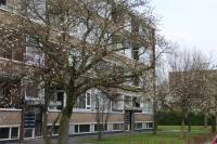 Woning Platostraat 97 Rotterdam