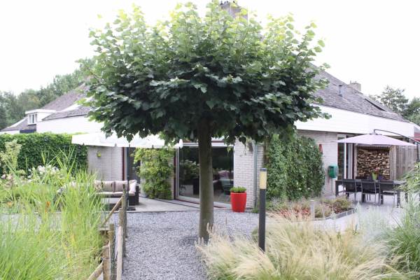 Woning Anjerveld 11 Bergen op Zoom