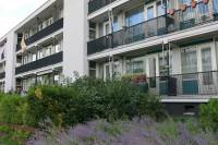 Woning Stavenissestraat 296 Rotterdam