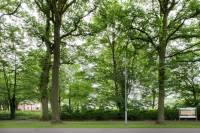 Bouwgrond Engelenburgerlaan 18B Brummen