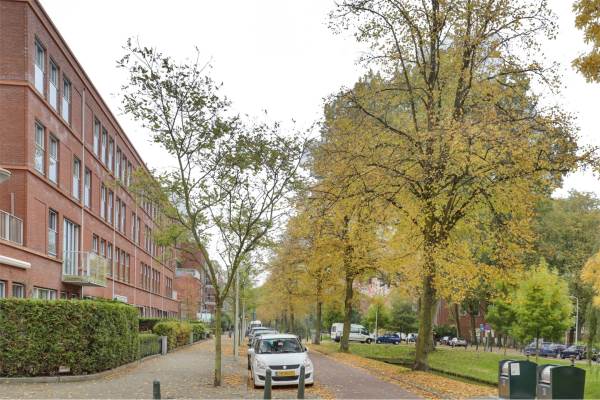 Woning Hoogeveenlaan 4 Den Haag