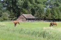 Woning Voormeer (weiland) bij 2 Naarden
