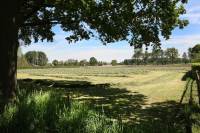 Bouwgrond Honkerbosweg De Heurne