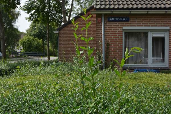Woning Gaffelstraat 13 Alkmaar