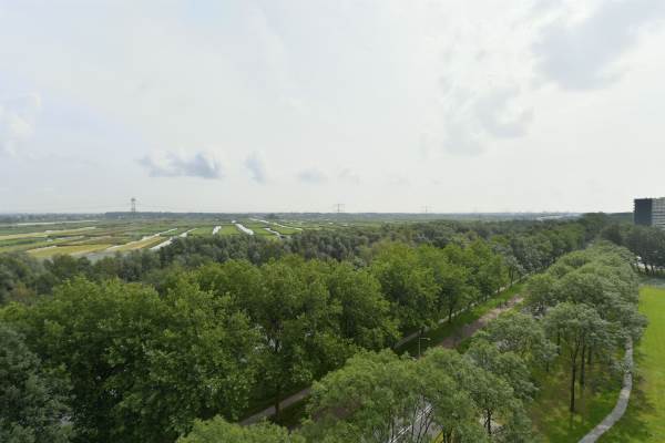 Woning Pharus 236 Zaandam