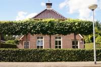 Woning Eigenhaardstraat 12. Nieuwe Pekela