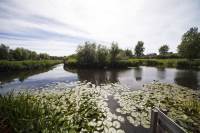 Woning Kruiszwin 4433 Julianadorp