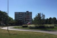 Woning Van Boshuizenstraat 23 Amsterdam