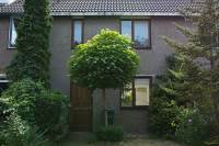 Woning Chirurgijn 50 Amstelveen
