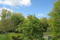 Bouwgrond Dorpsstraat 26* Gapinge