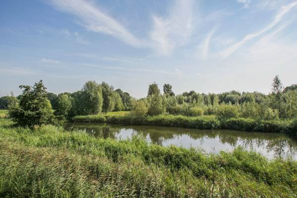 Woning Leeuwstraat 16 Dordrecht