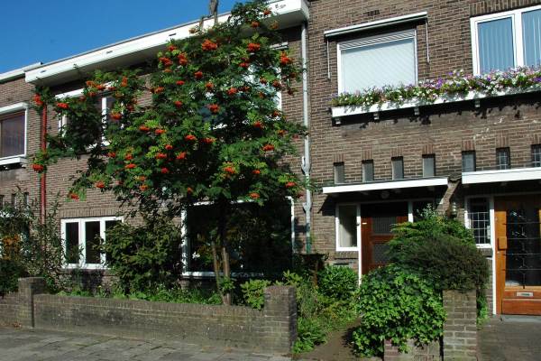 Woning Gestelsestraat 61 Eindhoven
