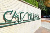 Woning Catsheuvel 167 Den Haag