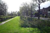 Woning Patrijsstraat 6 Beek