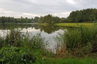 Woning A van Olphenstraat 23 Steenwijk