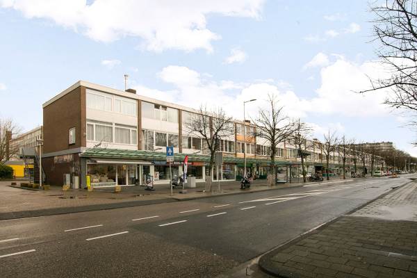 Woning Nieuwe Laan 115 Amsterdam
