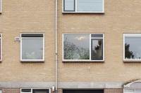 Woning De Vooysplantsoen 46 Utrecht