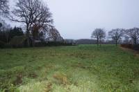 Bouwgrond rveld 5 Basse