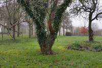 Bouwgrond erweg oost 114 Lopik