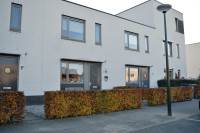 Woning Zandloopkever 11 Son en Breugel