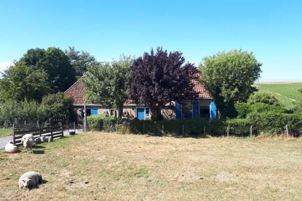 Woning Nieuwebildtdijk 154 Oudebildtzijl