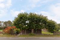 Woning Paasloërweg 49 Paasloo