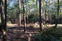 Bouwgrond Binckhorstlaan 12 Hollandsche Rading