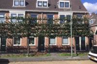 Woning IJsselstraat 29 Dordrecht