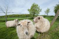 Woning Didalsweg 10 Epen