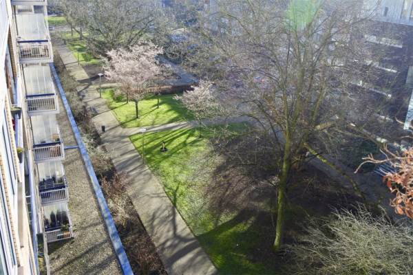 Woning Van Nijenrodeweg 204 Amsterdam
