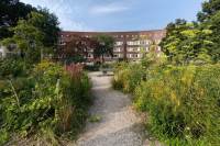 Woning Afrikanerplein 11 Amsterdam