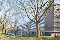 Woning Barnsteenhorst 130 Den Haag