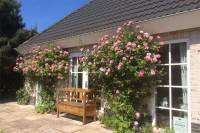 Woning Jasmijnlaan 9 Burgh-Haamstede