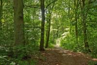 Bouwgrond Vleugelweg 7443 Nijverdal