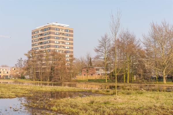Woning Boerhaavestraat 425 Vlaardingen