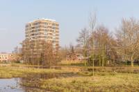 Woning Boerhaavestraat 425 Vlaardingen