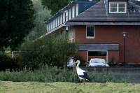 Woning Fanny Blankers-Koenlaan 28 Amstelveen