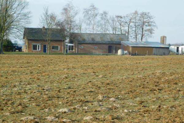 Woning Bosschen 6 Meeuwen