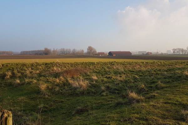 Bouwgrond Mortierepolder 4339 Nieuw- en Sint Joosland