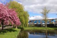 Woning Wielsingel 29 Oud-Beijerland