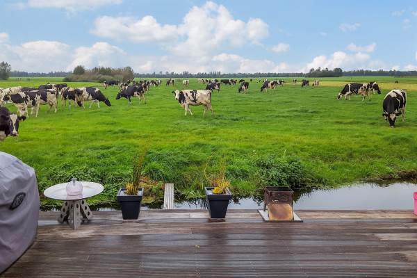 Woning Ridder Arnoud van Amstelstraat 16 Polsbroek