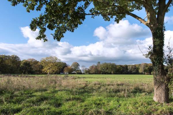 Bouwgrond Mettrayweg (kavel 3 Eefde