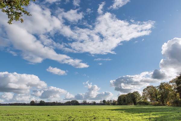 Bouwgrond Mettrayweg (kavel 2 Eefde