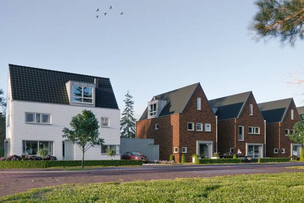 Bouwgrond Knoopkruid (kavel 296 Weert