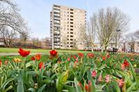 Woning Dignaland 38 Den Haag