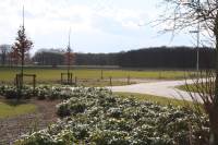 Bouwgrond Bulterweg 5711 Someren