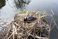 Woning Oosteindseweg 50 Bergschenhoek