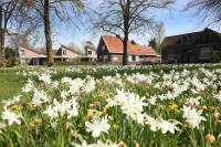 Woning Vicariestraat 1 Lievelde